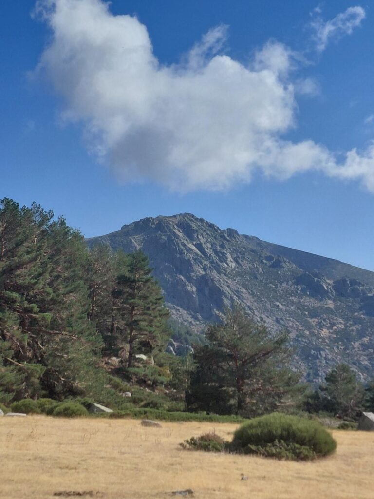 Prado de alta montaña con pinos y una cumbre de granito bajo un cielo azul con nubes